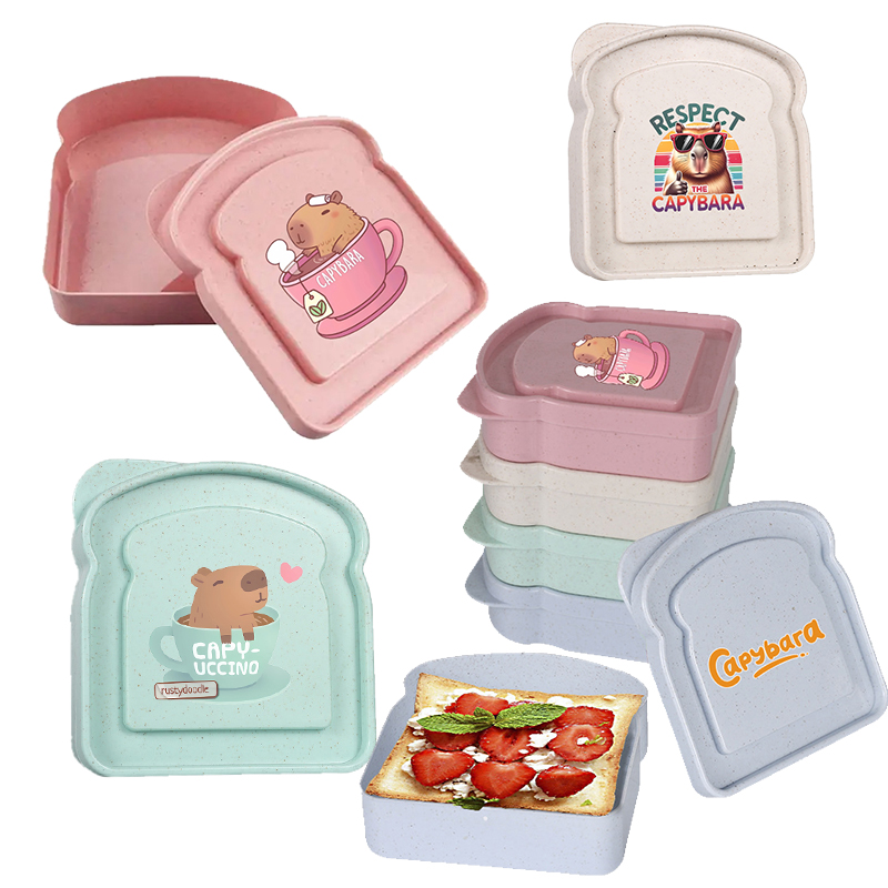카피바라 샌드위치 음식 보관 케이스 컨테이너 샐러드 과 - Food Storage Lunch Box 리뷰 및 가격