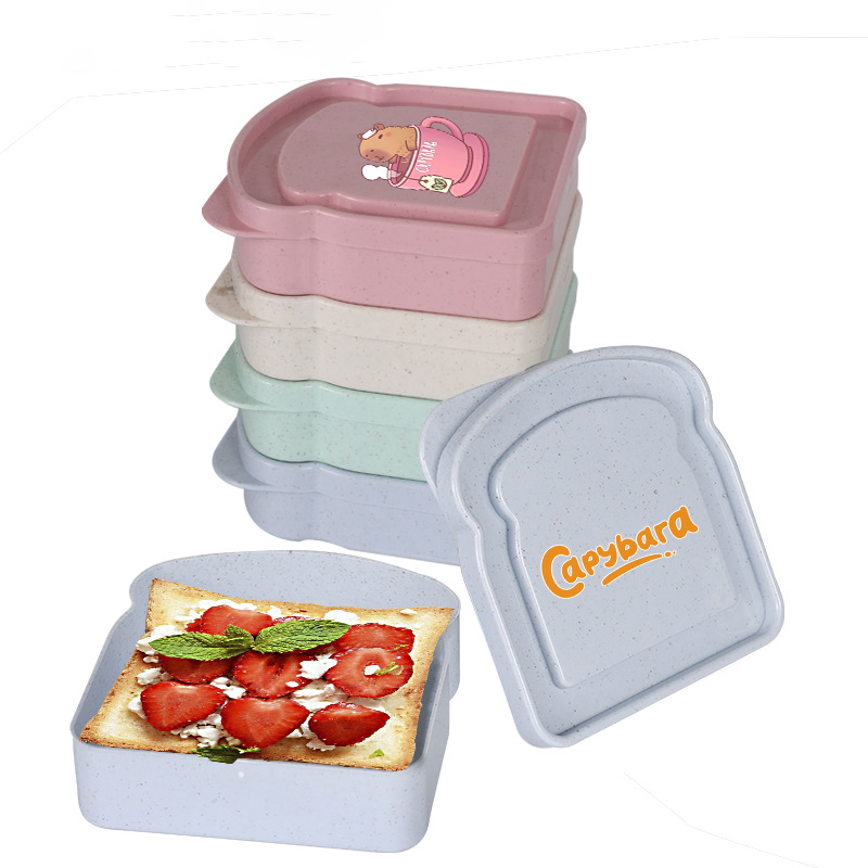카피바라 샌드위치 음식 보관 케이스 컨테이너 샐러드 과 - Food Storage Lunch Box 리뷰 및 가격