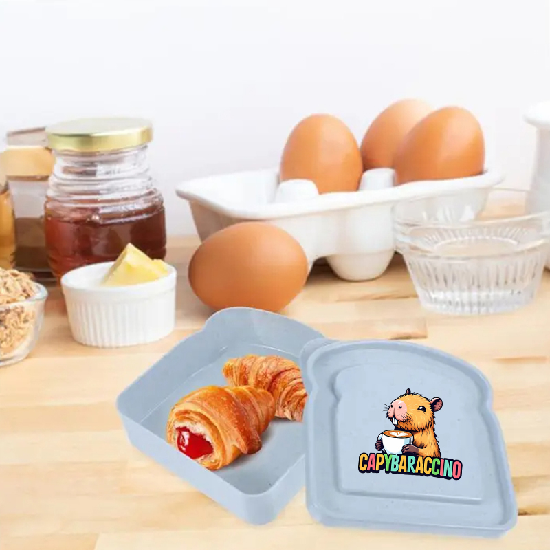 카피바라 샌드위치 음식 보관 케이스 컨테이너 샐러드 과 - Food Storage Lunch Box 리뷰 및 가격