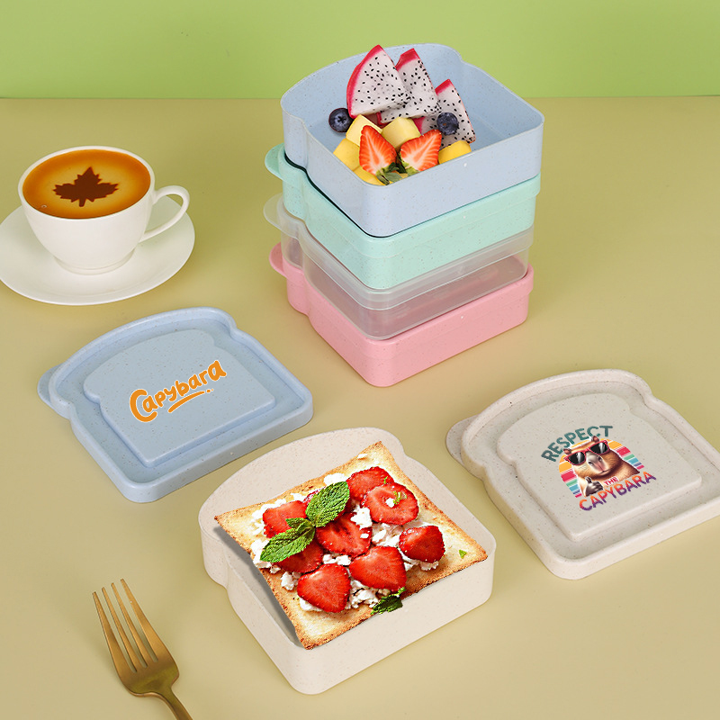 카피바라 샌드위치 음식 보관 케이스 컨테이너 샐러드 과 - Food Storage Lunch Box 리뷰 및 가격