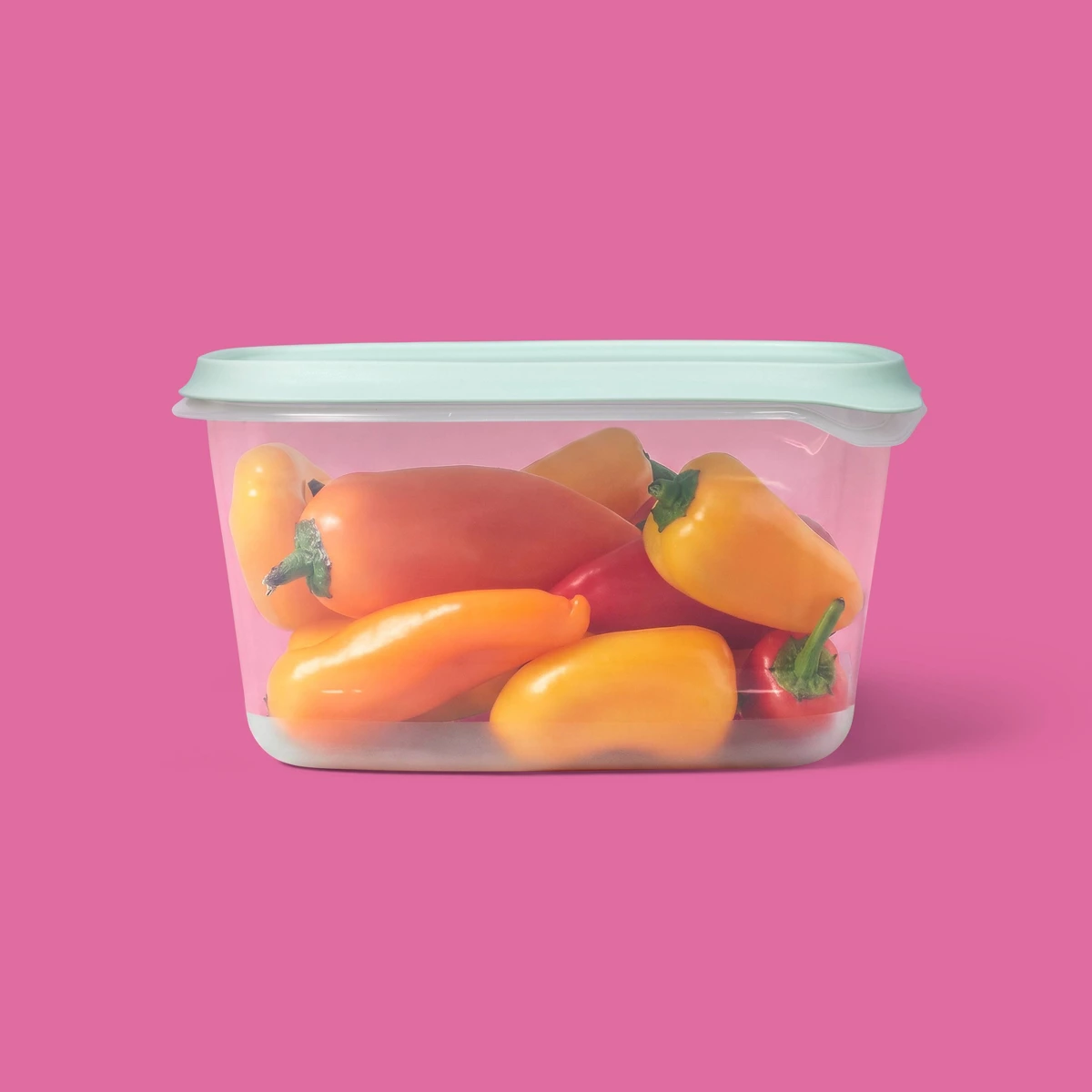 2026년 신제품 2팩 48온스 대형 직사각형 식품 보 - Food Storage Freezer 리뷰 및 가격